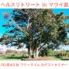 Thumbnail of related posts 113