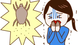 Thumbnail of post image 150