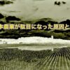 Thumbnail of related posts 172